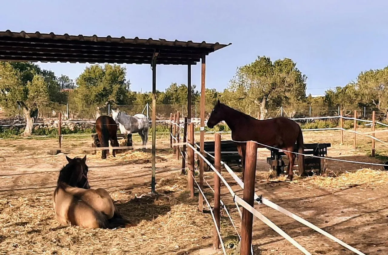 Chalet Vacacional Con Piscina Privada Y Barbacoa Tarragona 0*,  Spanien